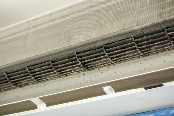 Best Commercial Air Duct Cleaning  in El Portal, FL